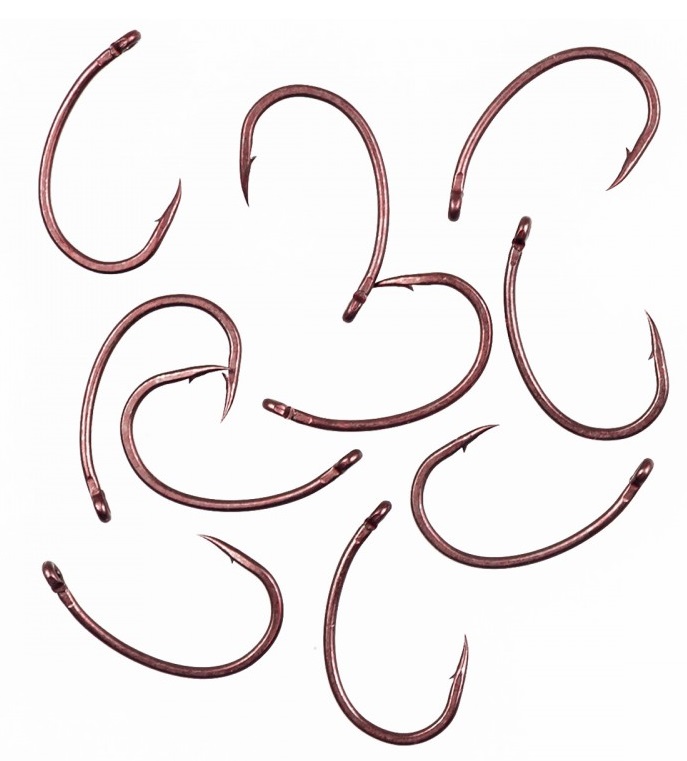 CARLIGE SHARP HAKUYO