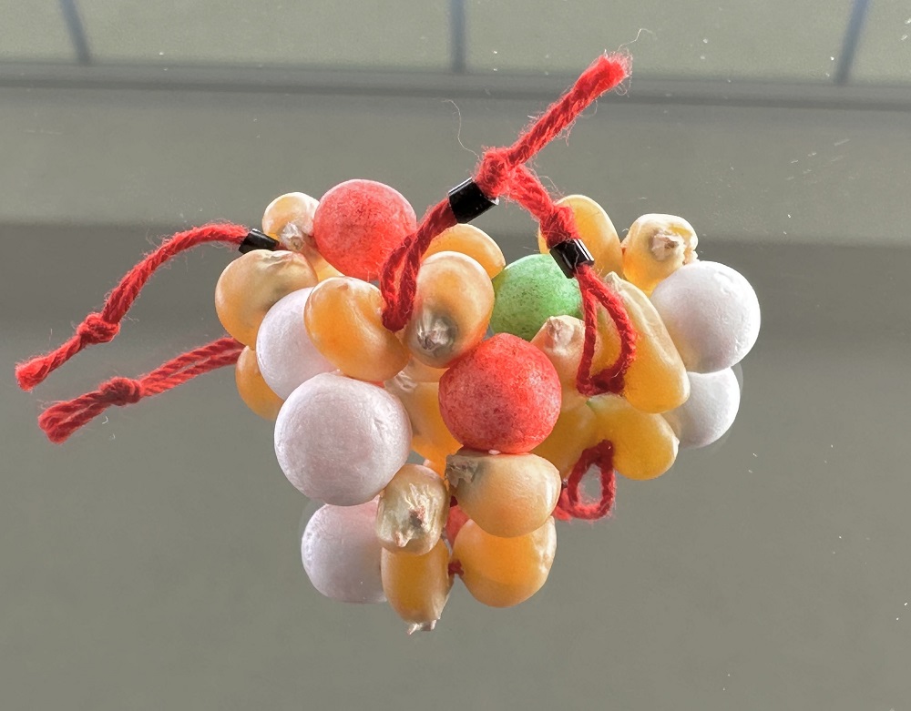 SET 5buc. SANDWICH FLOTANT PORUMB FLORICELE